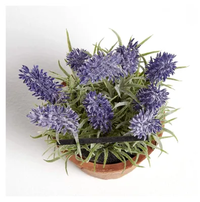 Produktbild von Künstliche Küchenkräuter im Topf, Lavendel, mediterrane Kunstkräuter im Tontopf für die Innendekoration, künstliche Topfpflanze, 15 cm hoch
