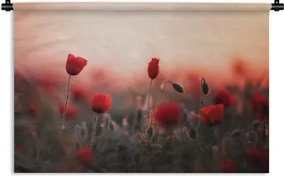Produktbild von MuchoWow® Wandteppich Wandbehang Mohnblumen - Blumen - Rot 90x60 cm Tapisserie Dekoration Wandtuch - Wandskulpturen - Bildteppich