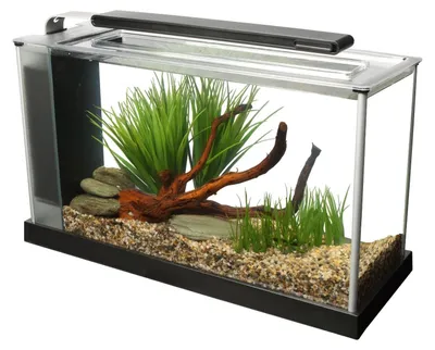 Produktbild von Nano-Aquarium, 21 Liter Fassungsvermögen, Schwarz, mit LED-Beleuchtung, 21 Liter, 37 LEDs, ideal für kleine Räume