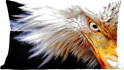 Produktbild von MuchoWow® Zierkissen Sofakissen Wohnzimmer Dekokissen 50x30 cm Vogel - Auge - Schnabel - Wohnzimmerdekoration - Polster mit Photo