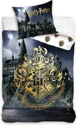 Zdjęcie produktu dla Pościel dla dzieci Harry Potter Podróż do Hogwartu
