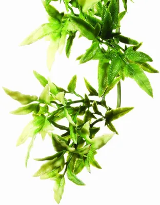 Produktbild von Exo Terra Planta Croton, Small, 40 cm