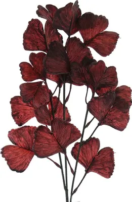 Produktbild von GASPER Gingkozweig Dunkelrot 62 cm - Kunstblumen