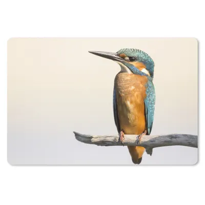 Produktbild von MuchoWow® Mauspad Mousepad Eisvogel - Zweige - Tiere 27x18 cm - Mousepads - Maus Mat - Pad - Mausunterlage - Büroartikel - Desk Matten