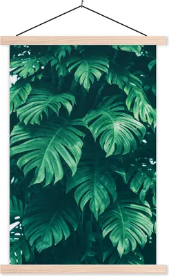 Produktbild von MuchoWow® Textilposter Monstera - Blätter - Pflanzen - Dschungel - Natur 120x180 cm mit holzfarbenen Rahmen - Textil-Plakat