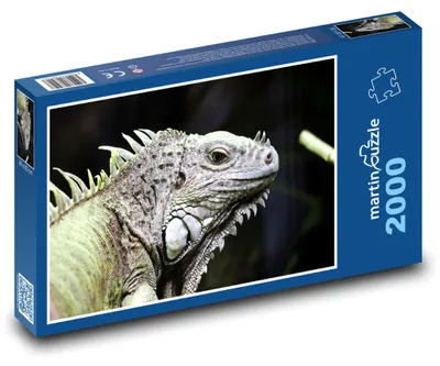 Obrázek produktu pro Puzzle 2000 Ještěrka v divoké přírodě - martinpuzzle