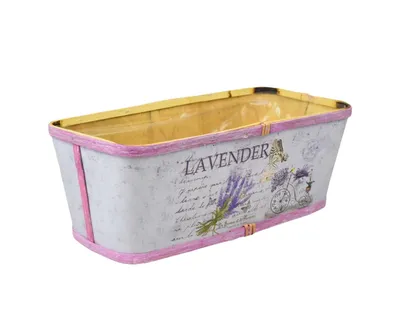 Obrázok produktu pre Truhlík Lavender