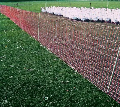 Produktbild von Euronetz Geflügel, 112 cm - mit Doppelspitze, 50 m