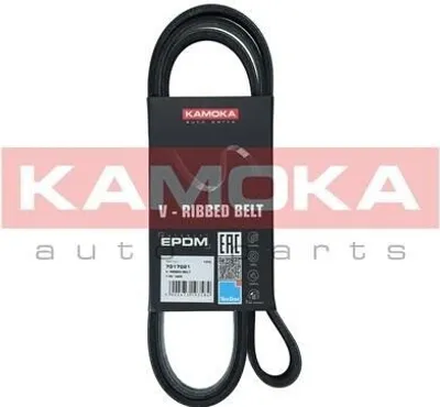 Produktbild von KAMOKA Keilrippenriemen 1666mm für BMW X5 (E70) 7017021