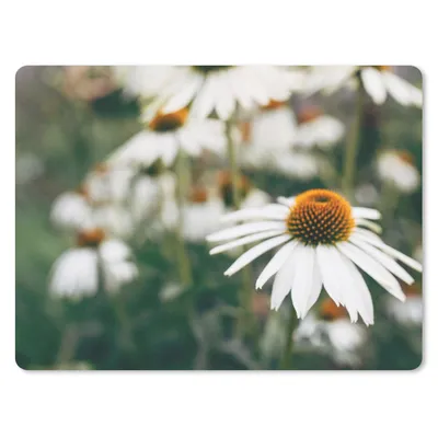 Produktbild von MuchoWow® Mauspad Mousepad Blumen - Herbst - Botanisch 40x30 cm - Mousepads - Maus Mat - Pad - Mausunterlage - Anti Rutsch