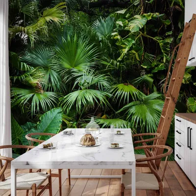 Produktbild von Vlies Fototapete - Sunny Jungle 450x315 cm Blätter b-B-0312-a-a