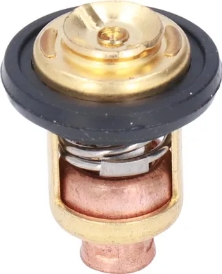 Productafbeelding van 60°C, 140°F, thermostaat voor bootmotor, type 66m -1411-00, geschikt voor buitenboordmotoren met 4 cilinders