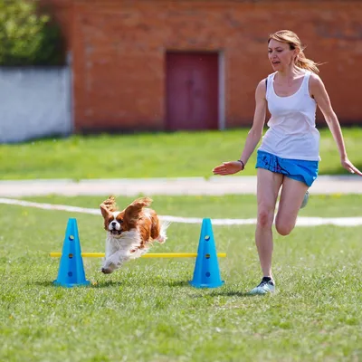 Produktbild von Trainingshürden Nesting-Paket 18-teilig mit 12 Kegeln und 6 Stangen