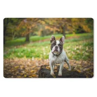 Produktbild von MuchoWow® Mauspad Mousepad Französische Bulldogge - Herbst - Baumstamm 27x18 cm - Mousepads - Maus Mat - Pad - Mausunterlage - Büroartikel - Desk Matten