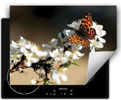 Produktbild von DarHaus Herdabdeckplatte 70x52 cm Anti Rutsch Matte Aufrollbar, Schmetterling - Blume