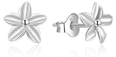Immagine prodotto di Orecchini in argento fine AGUP747L