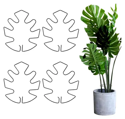 Produktbild von 4er Set Schwarze Pflanzenstütze für Monstera Halterung und Rankhilfe