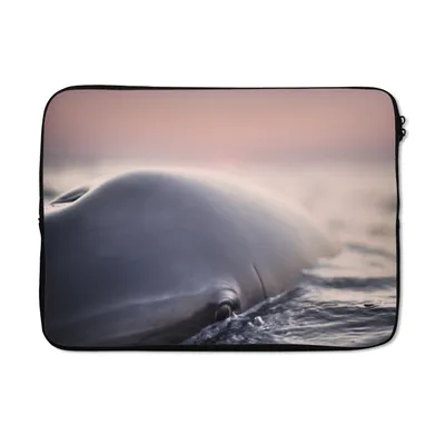 Produktbild von MuchoWow® Laptop Hülle 14 ZollDelfin - Wasser - Nahaufnahme Laptoptasche - Laptoptasche - Stoßsicher - Schutzhaube