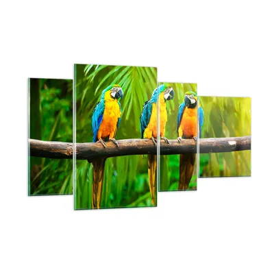 Produktbild von Bilder auf glas - Papageien Collorful Natur Vögel - 120x70cm - Glasbilder - Wandbilder - Kunstdruck - zum Aufhängen bereit - Wanddekoration aus Glas - Glas Bilder - Wandbild auf Glas - GDL120x70-2696