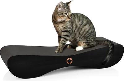 Image de Satellite 2.0 | griffoir pour chat canadien | EDITION NOIRE | NOIR