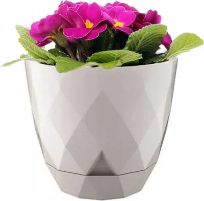 Immagine prodotto di Vaso di plastica beige 15x17,5 cm con base
