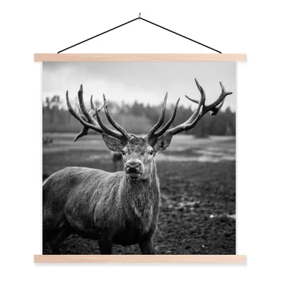 Produktbild von MuchoWow® Textilposter Tiere - Hirsch - Geweih - Schwarz und weiß - Natur 40x40 cm mit holzfarbenen Rahmen - Posterleiste