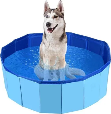 Produktbild von Famanu Hundepool faltbar - Anti-Rutsch - Blau - 120 x 30 cm