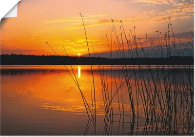 Produktbild von ARTland Poster Landschaft mit Sonnenaufgang Größe: 100x70 cm