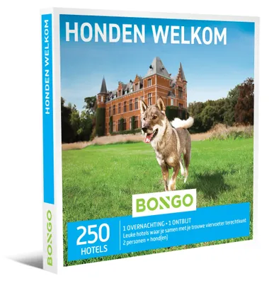 Zdjęcie produktu dla Voucher obejmujący nocleg ze śniadaniem dla 2 osób i 1-2 psów, hotel przyjazny zwierzętom, krótki pobyt