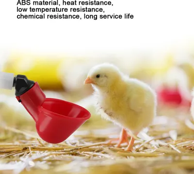 Immagine prodotto di Abbeveratoio automatico per polli, 5 tazze d'acqua per pollame, adatto per uccelli, quaglie, piccioni e polli (25 mm)