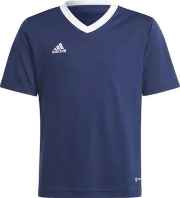 Produktbild von adidas Entrada 22 Trikot Kinder tenabl 128