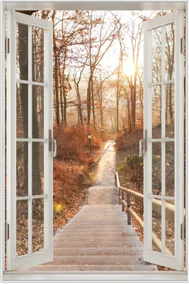 Produktbild von Wallario Wandbild mit Fenster-Illusion: Weg in den Sonnenuntergang, Größe: 61 x 91,5 cm, Poster mit weißem Aluminiumrahmen