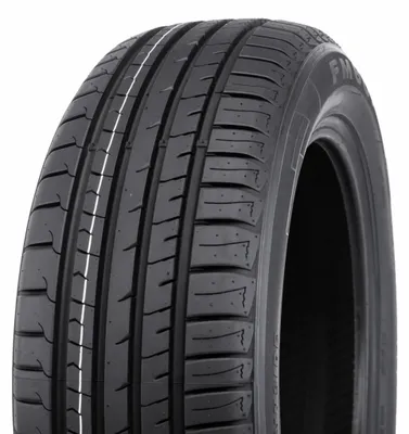 Image de 205/55R16 91V Fm601