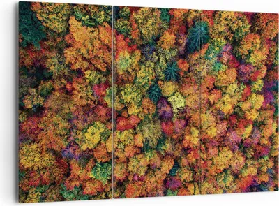 Produktbild von Bild auf Leinwand - Leinwandbild - 3 Teile - Herbst Perspektive Vogel - 165x110cm - Wand Bild - Wanddeko - Wandbilder - Leinwanddruck - Bilder - Wanddekoration - Leinwand bilder - CE165x110-4478