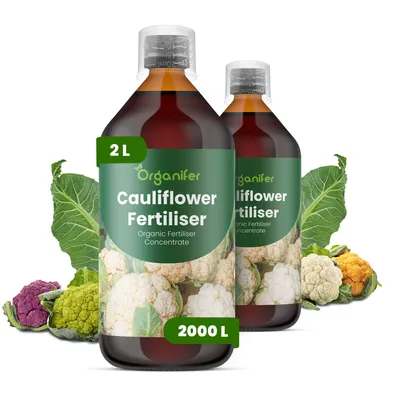 Obrázok produktu pre Brokolicové tekuté hnojivo 2x1 L – 2-1-8 NPK – Vhodné pre zeleninu – Pre silné hlávky a zdravé listy – Podporuje rast koreňov a vitalitu – Organický produkt