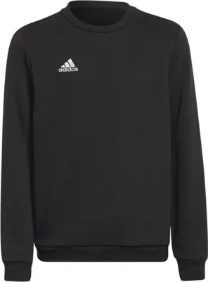 Image de Adidas Entrada 22 Pull d'entraînement enfants