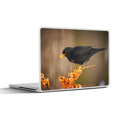 Produktbild von MuchoWow® Laptop Aufkleber Sticker Cover Vogel - Amsel - Winter - Eis - Beere 30x21 cm - Sticker für Laptop - Selbstklebend