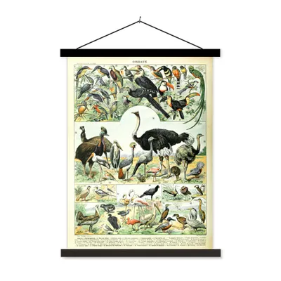 Produktbild von MuchoWow® Textilposter Vogel - Tiere - Natur 90x120 cm mit schwarzem Rahmen - Dekoration