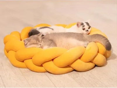 Produktbild von Famanu Katzenbett 60 cm – Waschbares Geflochtenes Kuschelnest für Katzen und Kleine Hunde – Weich und Komfortabel