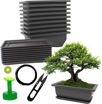 Produktbild von Set mit 10 Bonsai-Töpfen, inklusive Untersetzern und Anzuchtzubehör