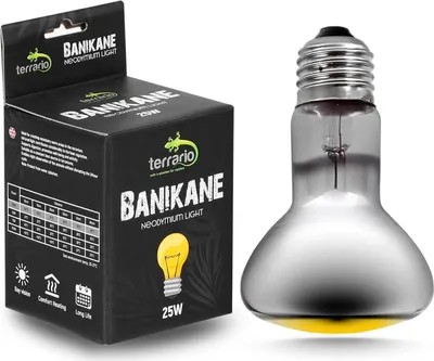 Zdjęcie produktu dla Terrario Banikane Neodymium Light - żarówka grzewcza neodymowa 25W Terrario