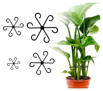 Produktbild von 8er-Pack Pflanzenstützen, Staudenhalter in 4 Größen, geeignet für Zimmerpflanzen, Pflanzenstamm Blumenhalter, passend für Monstera-Spalier, Callas, Tomaten, Hortensien und Rosen