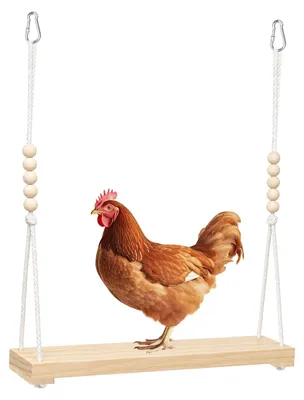 Obrázok produktu pre Drevená hojdačka pre slepice, 40 x 110 cm, ideálna hračka do slepčína