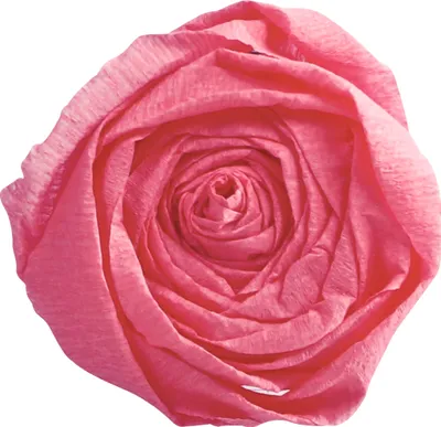 Immagine prodotto di Clairefontaine 901060C Clairefontaine Krepp-Papier, (B)500 mm x (L)2 m, rosa