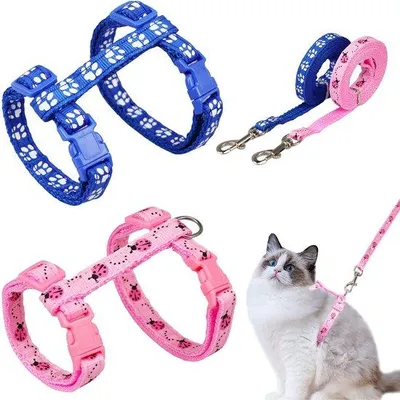Produktbild von Ibenzoa® 2er-Set verstellbares Katzenharness – weiche Nylon-Weste mit Leine für Kätzchen, Welpen & Kaninchen, Blau/Rosa, Brust 21–34 cm, Hals 17–27 cm, 1,2 x 120 cm