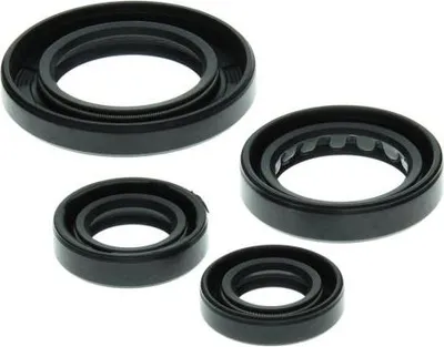 Immagine prodotto di Set di fasce elastiche motore WINDEROSA W822211