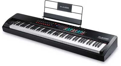 Image de Clavier MIDI M-Audio Hammer 88 Pro