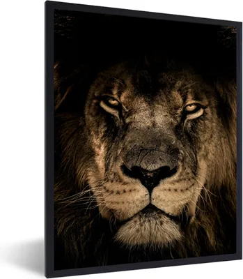 Produktbild von MuchoWow® Gerahmtes Poster Löwe - Tiere - Schwarz - Porträt 60x80 cm - Poster mit Schwarzem Bilderrahmen Wandposter Rahmen Foto Bilder - Premium - Wanddeko Wohnzimmer