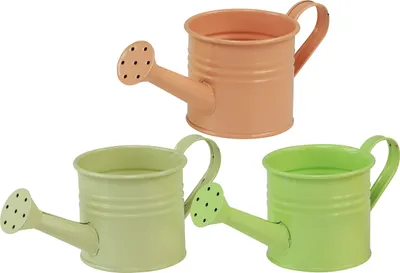 Produktbild von Dekorative Metallgießkannen als Übertopf für Pflanzen und Blumen, 8 Stück
