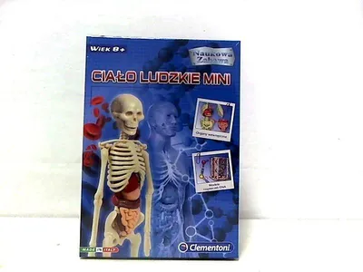 Image de CLE Scientific fun Corps humain mini 50515